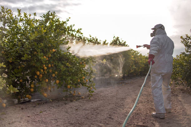 Best Affordable Pest Control Services  in Marbury, AL