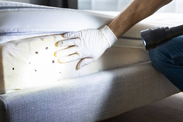 Best Best Pest Control Near Me  in Marbury, AL
