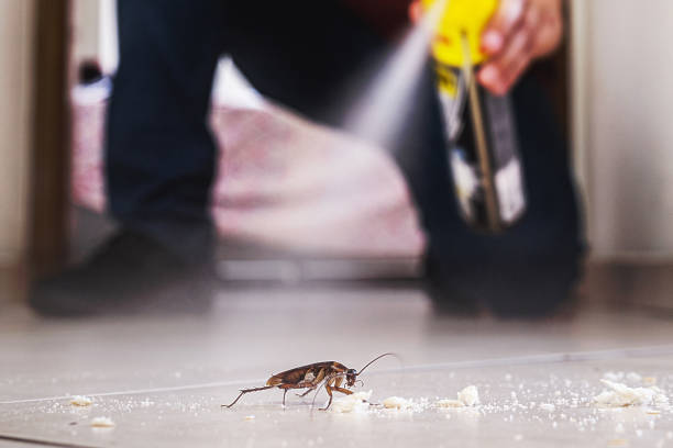 Best Pest Control Near Me  in Marbury, AL