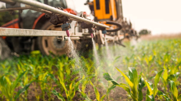 Best Ant Control Services  in Marbury, AL